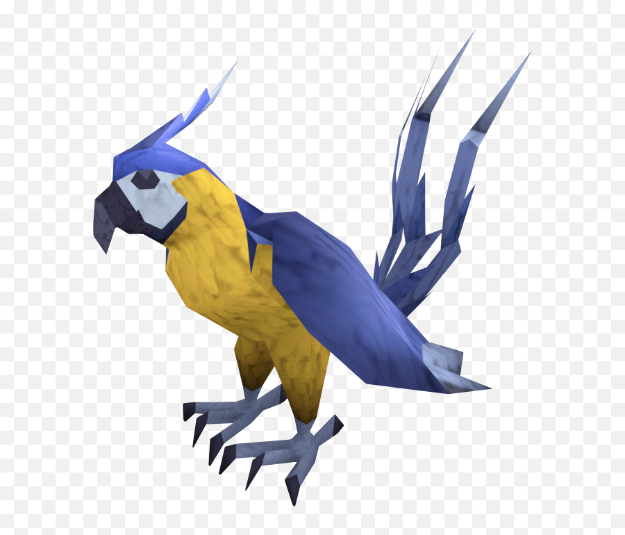 Macaw - Parrots Png,Macaw Png