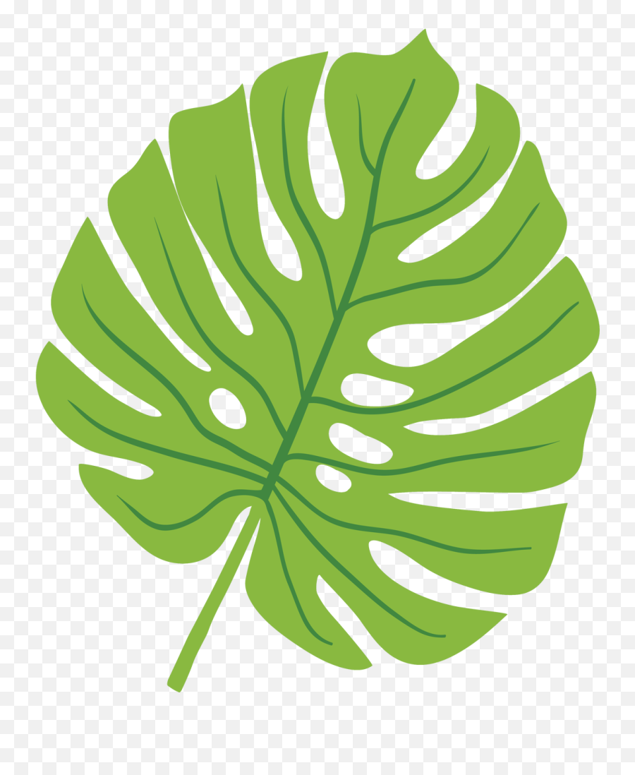 Tropical Leaf Svg Cut File - Transparent Tropical Leaves Background Png,Tropical Leaves Png
