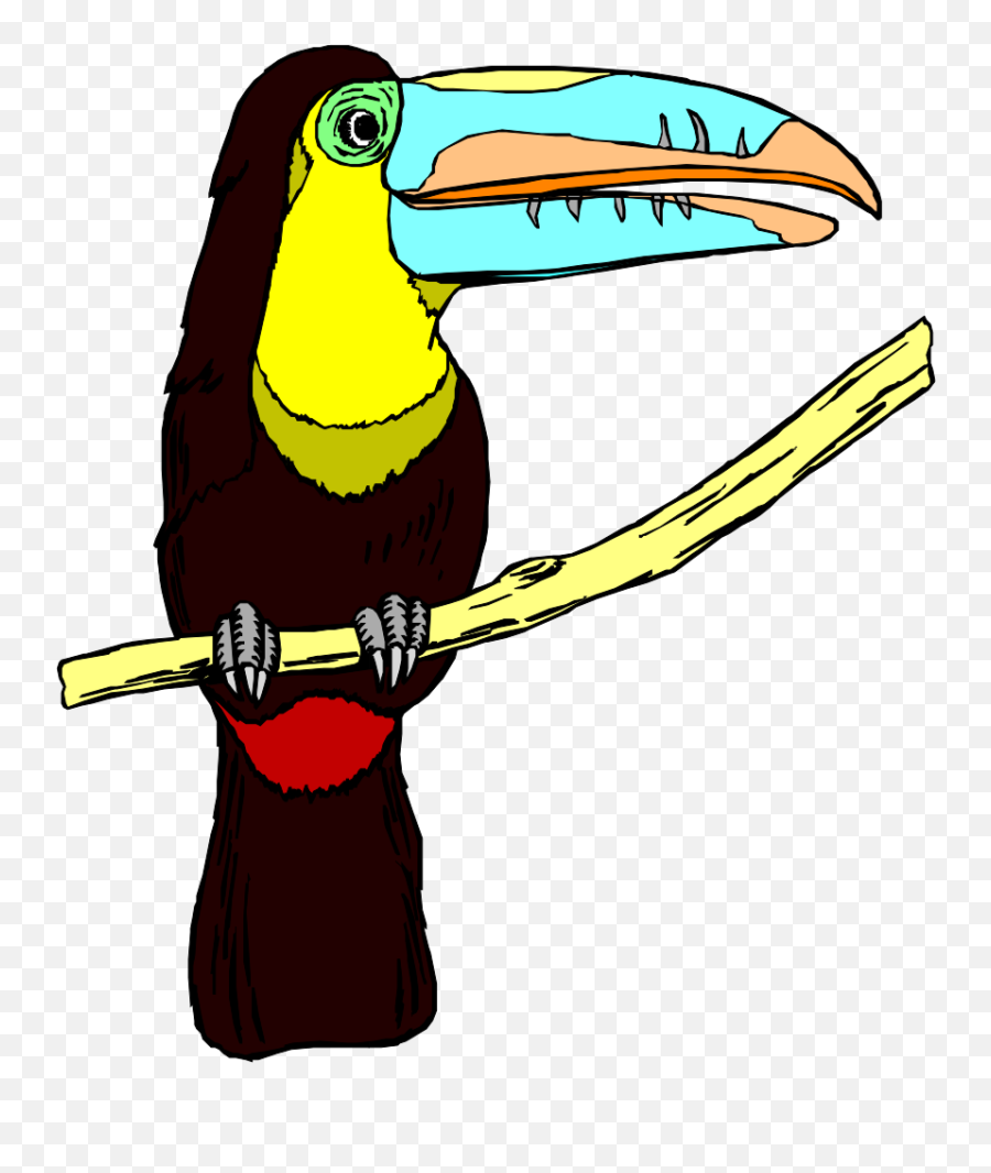 Perched Toucan Png Svg Clip Art For - Toucans,Toucan Png