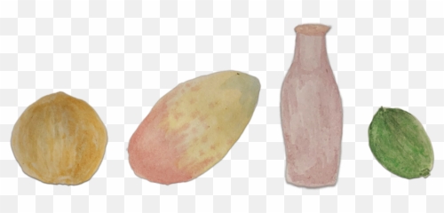 Omg Popsicles U2014 Aspiring Roots - Earthenware Png,Popsicles Png