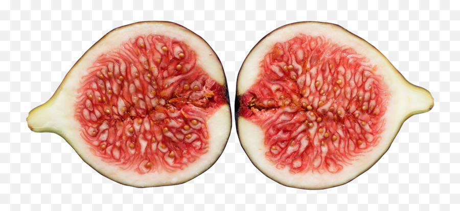 Fig Png Image - Figs Png,Fig Png