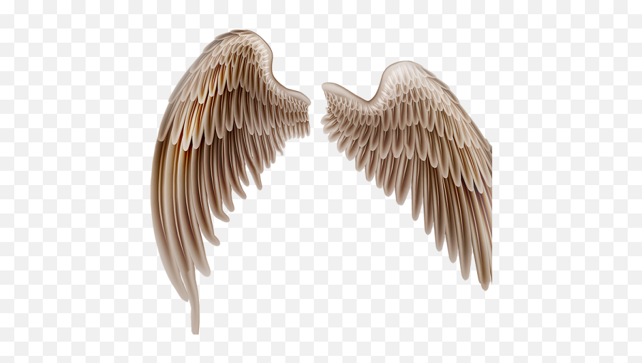 Golden Wings Png Images - 2021 Full Hd Background U0026 Png Wings Photo Editing Background,Devil Wings Png