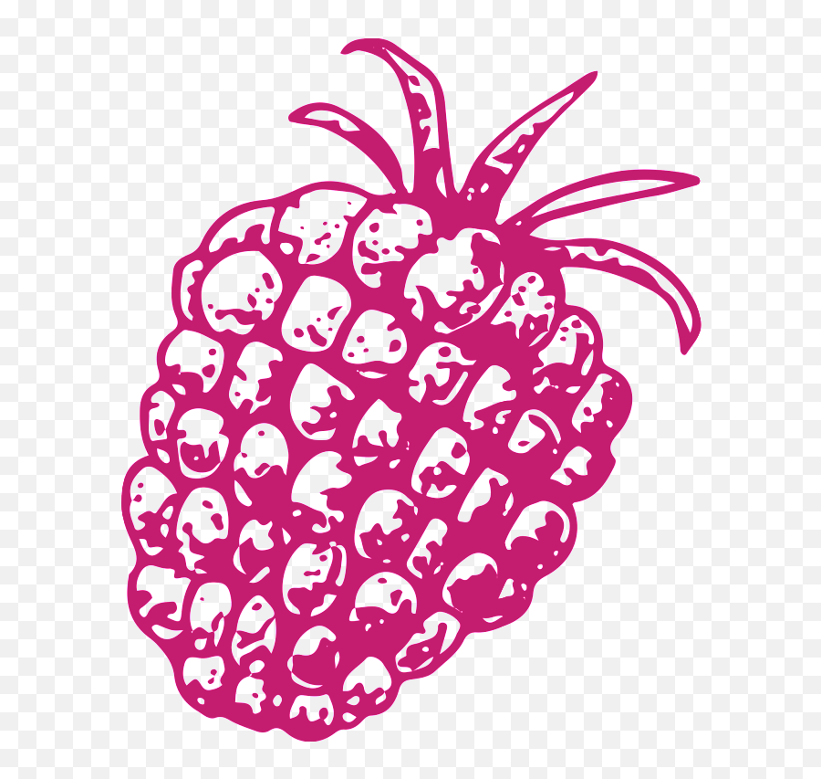 Download Hand Drawn Pineapple - Portable Network Graphics Png,Pineapple Transparent
