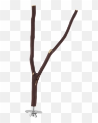 Cockatiel Bird Care Sheet - Twig png