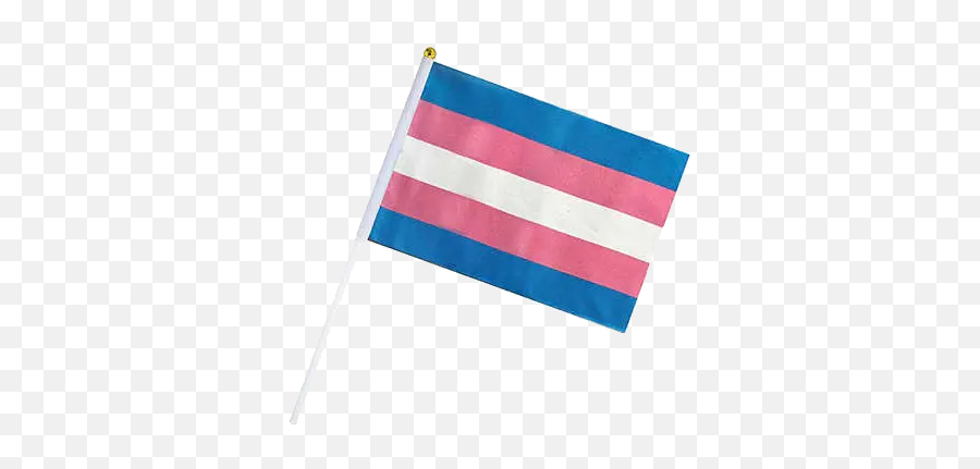 Pride Flags U2013 Tagged Sticku2013 Premeditated - Trans Pride Flag On Stick Png,Bisexual Flag Icon