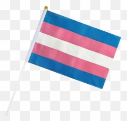 Pride Flags U2013 Tagged Sticku2013 Premeditated - Trans Flag On Stick png