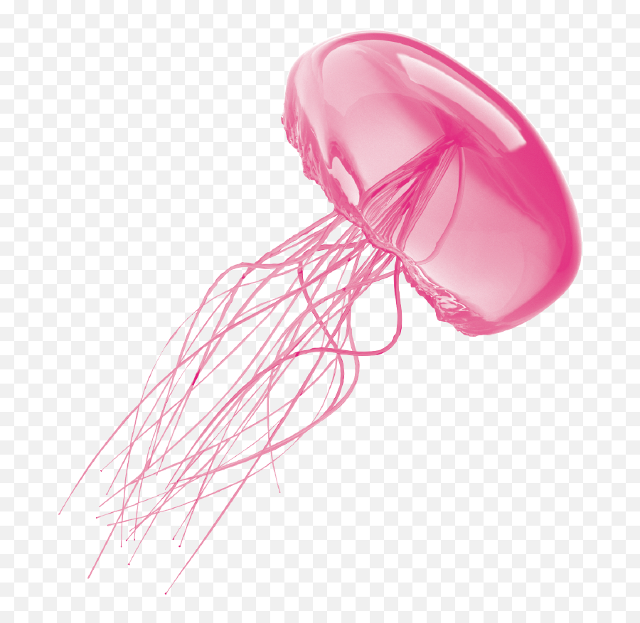Jellyfish Transparent Background - Jelly Fish No Background Png,Transparent Jellyfish