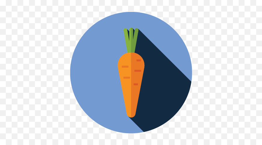 Carroticon - Sprout Bc Baby Carrot Png,Carrot Icon