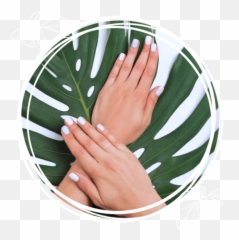 Nail Salon Pedicure Pedishack Nailbar U0026 Spa - Manicure png