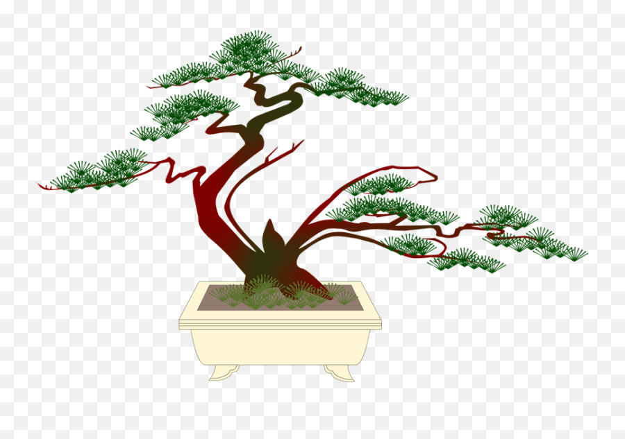 Bonsai Miniature Pine - Free Image On Pixabay Bonzai Tree Png Cartoon,Bonsai Tree Png