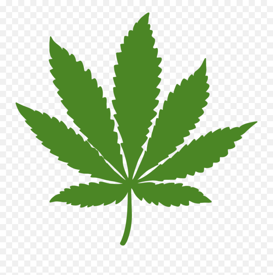 Lol Weed - Different Strains Of Cannabis Png,Marijuana Leaf Icon