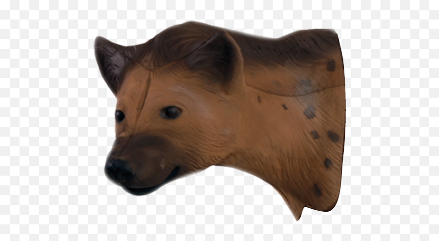 Download African Hyena Head - Hyena Full Size Png Image Hyena Head Png,Hyena Png