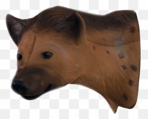 Download African Hyena Head - Hyena Full Size Png Image Hyena Head Png,Hyena Png