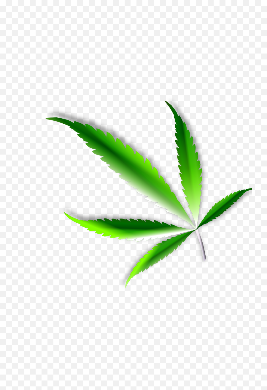 Weed Leaf Transparent Png - Cannabis Leaf Transparency,Weed Transparent Background