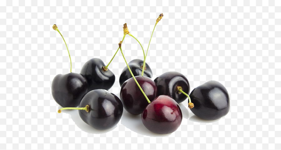 Black Cherry Transparent Hq Png Image - Black Cherry Flavour Art,Cherries Png