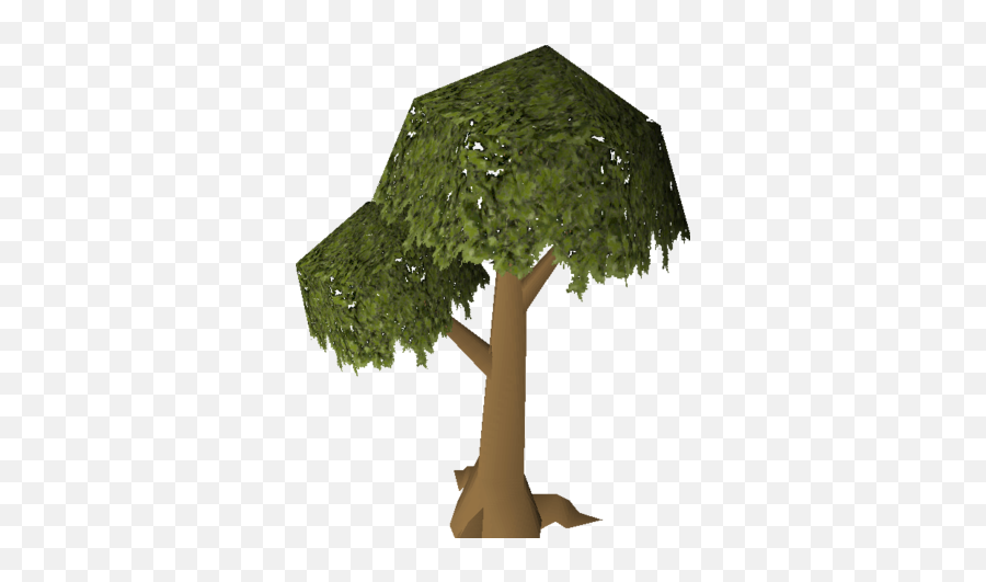 Tree - Runescape Png,Old Tree Png