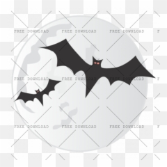 Png Image With Transparent Background