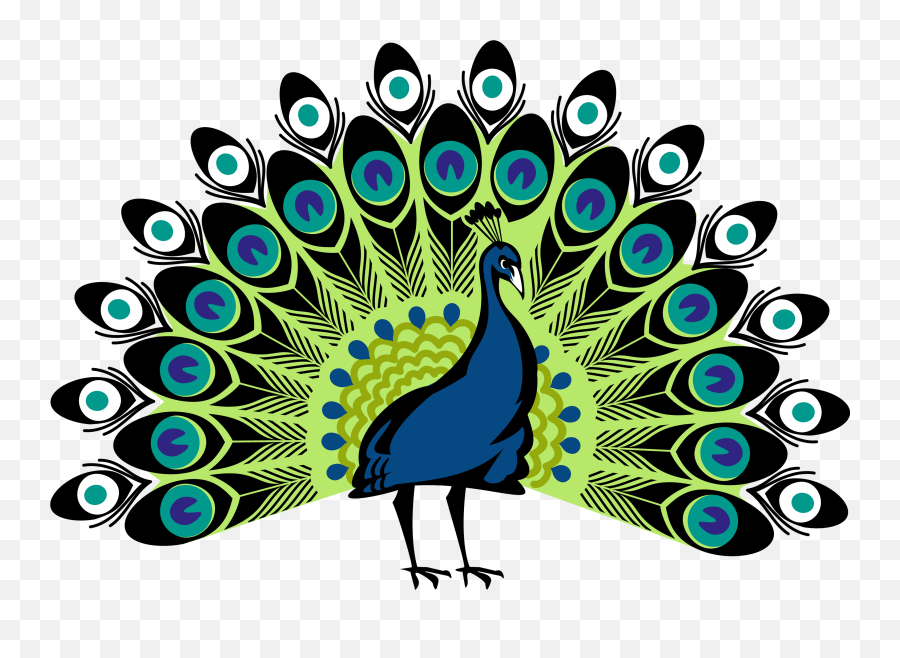 Peacock Png - Peacock Png,Peacock Png