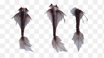Mermaid Tails Isolated - Beloniformes png