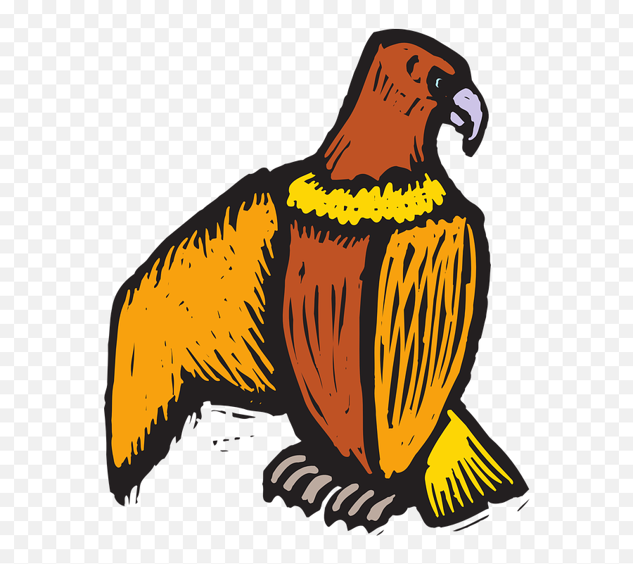 Eagle Bird Style - Free Vector Graphic On Pixabay Beak Png,Claw Scratch Png