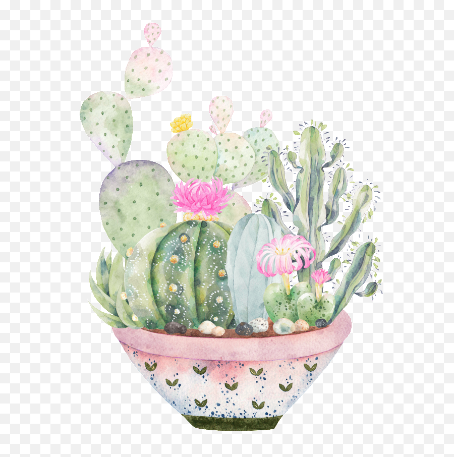 Large Plate Of Plants Png Transparent - Logos De Cactus Y Suculentas,Succulent Transparent Background