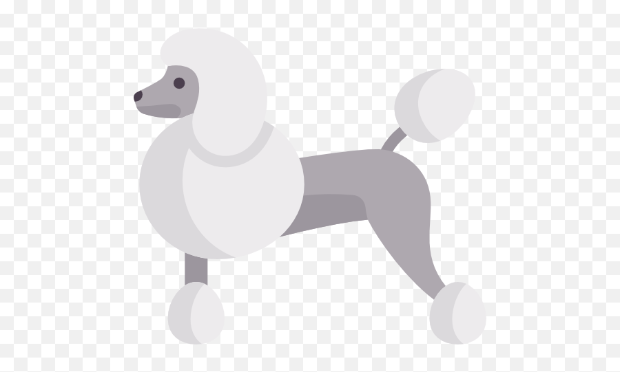 Poodle - Free Animals Icons Standard Poodle Png,Poodle Png