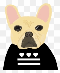 French Bulldog Hd Png Download - French Bulldog,Bulldog Png