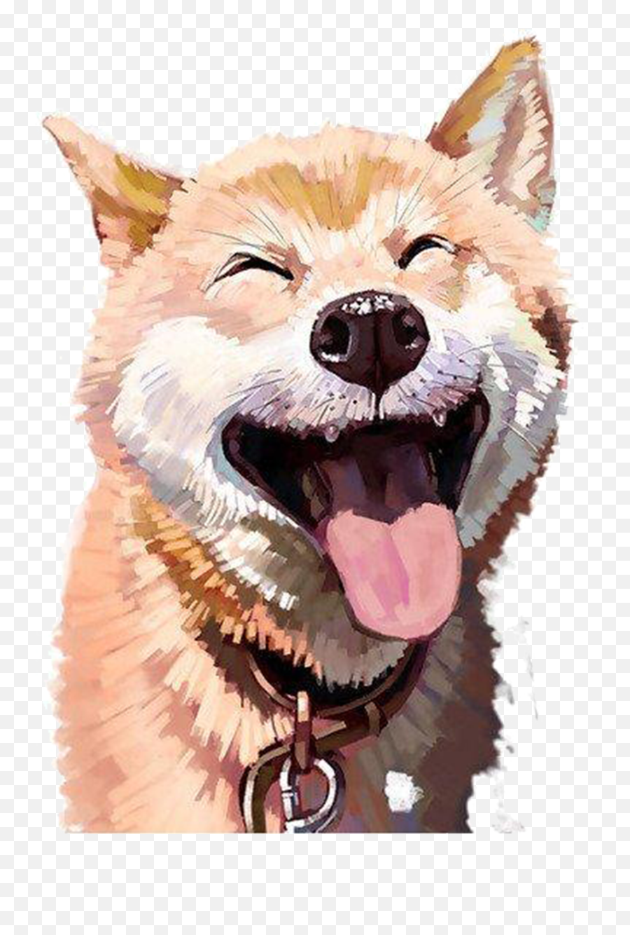 Laughing Dog - Shiba Inu Paint By Numbers Png,Doge Png
