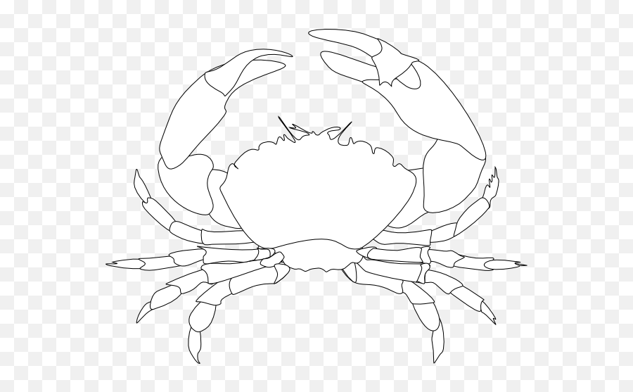 Whte Crab Clip Art - Vector Clip Art Online White Crab Logo Png,Crab Png