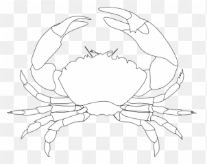 Whte Crab Clip Art - Vector Clip Art Online White Crab Logo Png,Crab Png