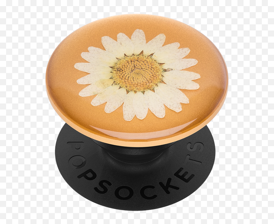 Popsocket Popgrip Pressed Flower White Daisy - Flower Popsocket Png,White Daisy Png