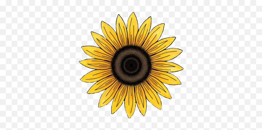 Largest Collection Of Free - Girasol Sticker Png,Girasol Png - free  transparent png images 