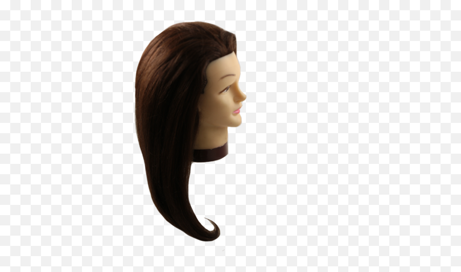 Download 24 Brunette Mannequin Head - Head Full Size Png Hair Design,Mannequin Head Png