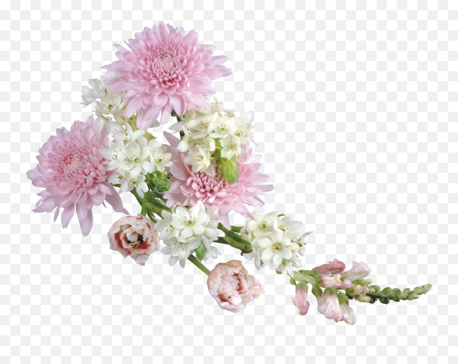 64 Images About Flower Png - Flowers Transparent Background Free,Flowers Png
