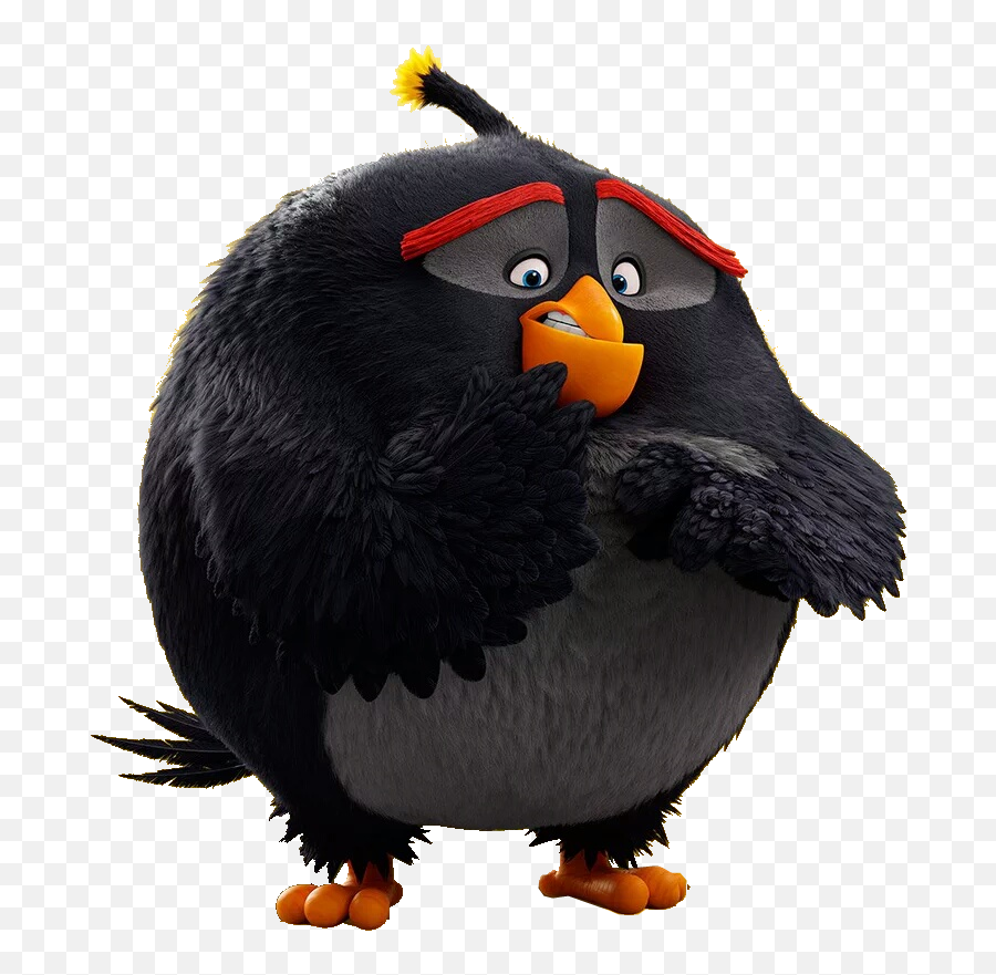 Movie Black Angry Bird Png Cartoon Bomb