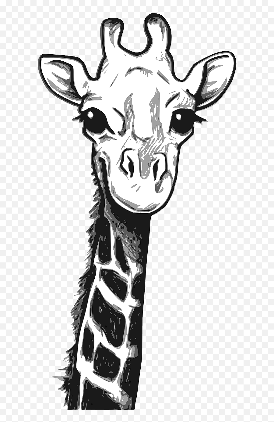 Cute Giraffe Head - Black And White Clipart Free Download Cute Giraffe Drawing Png,Head Transparent