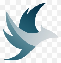 Jayc - Creative Director Swallow png