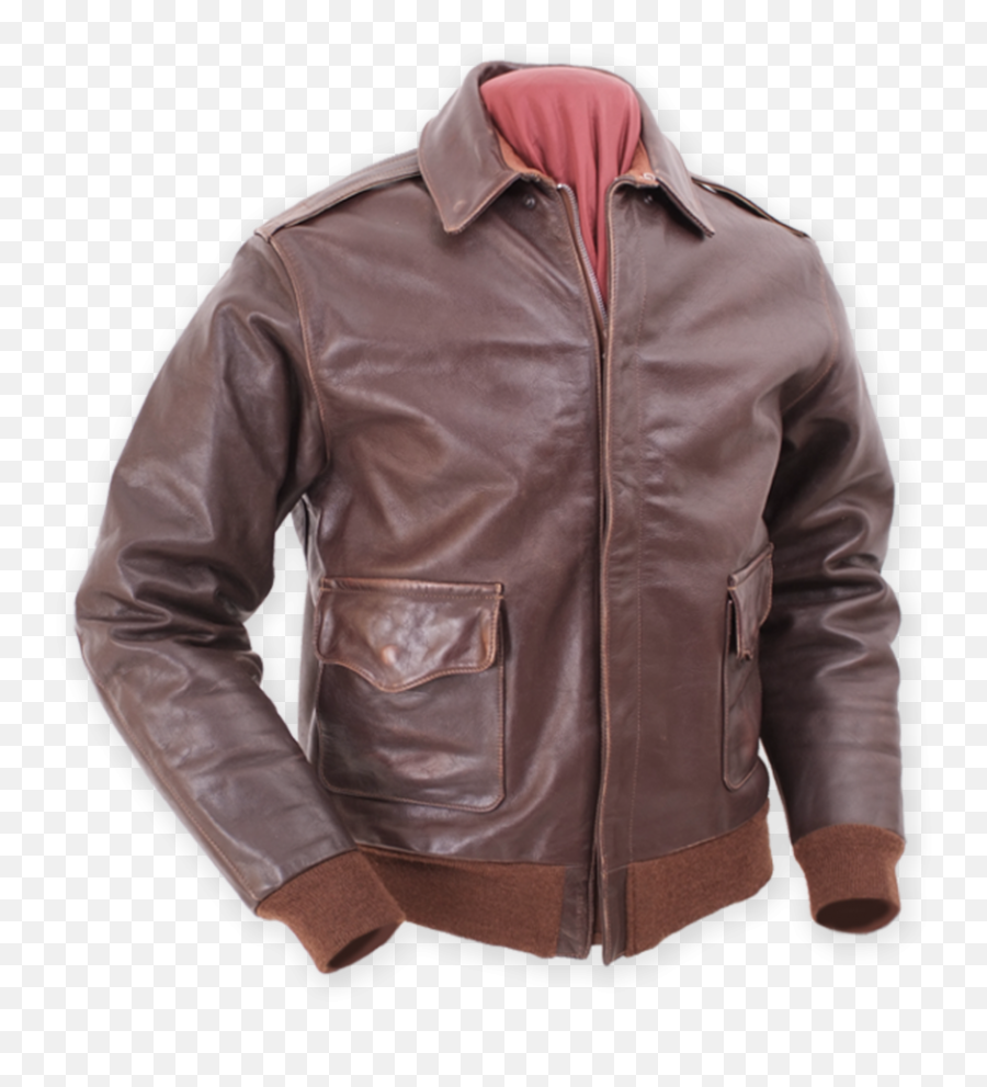 Bomber And Flight Jacket Guide - Solid Png,Icon Womens Leather Jacket