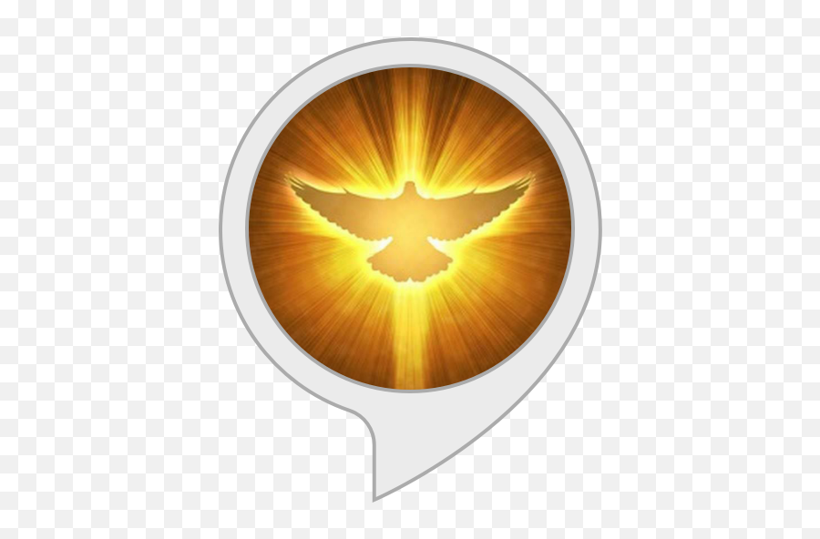 Amazoncom A Catholic Novena To The Holy Spirit Alexa Skills - Gold Dove Holy Spirit Png,Divine Mercy Imaage Icon