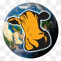 Posts And Replies - Creative COW Cow png
