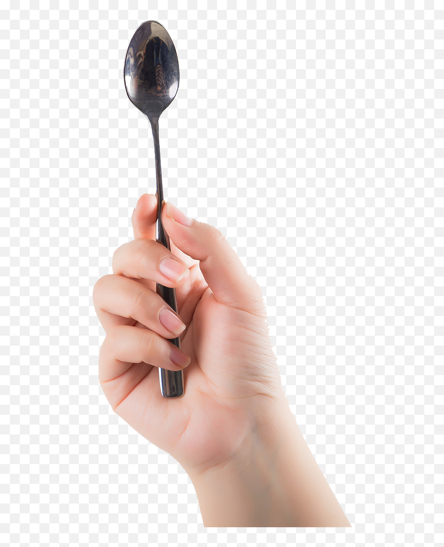 Graphic Download Fork Transparent Hand Holding - Hand Hand Holding Spoon Png,Hand Holding Png