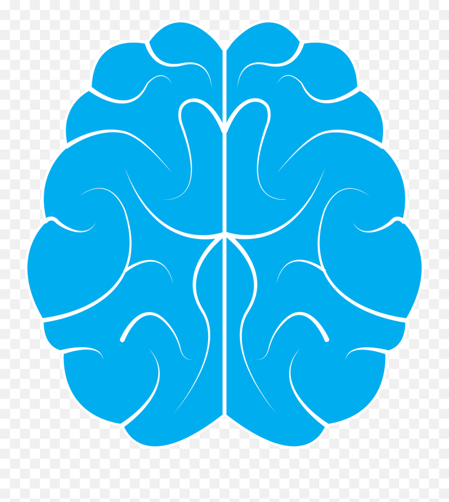 Brain Icon Human - Vector Brain Logo Png,Human Brain Png