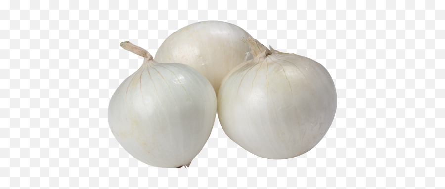 White Onion Png Mart - Transparent Background White Onion Png,Onion Png