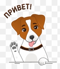 Oh Hi Mark Sticker - Discover u0026 Share GIFs 2022 Telegram png