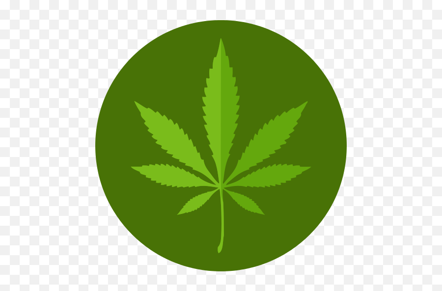 Marijuana Png Icon - Flat Marijuana Icon,Weed Transparent Background