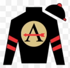 Flying Bullet Horse Wiki U0026 Bio - Emblem Png,Flying Bullet Png