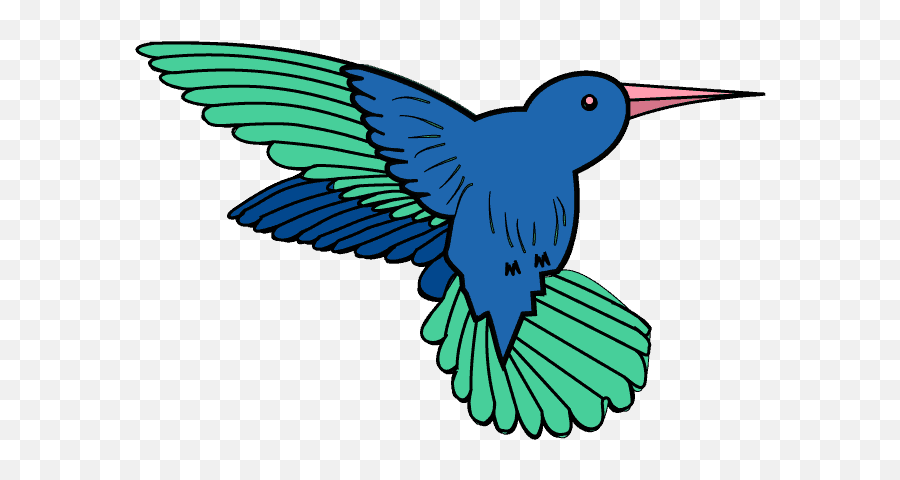 How To Draw A Hummingbird Easy Step - Bystep Drawing Guides Color How To Draw A Hummingbird Png,Hummingbird Transparent
