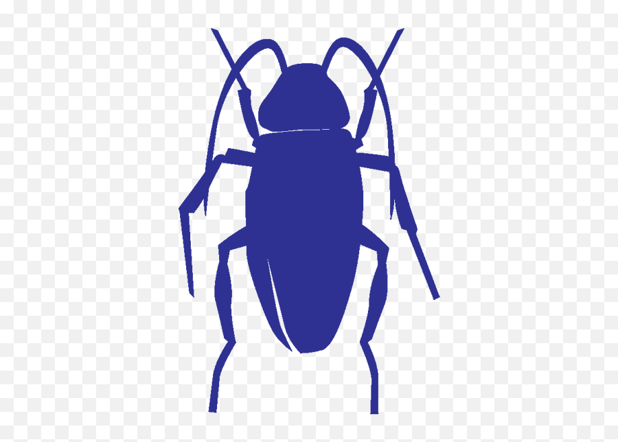 303 Pest Control - Cockroach Icon Png,Roach Png