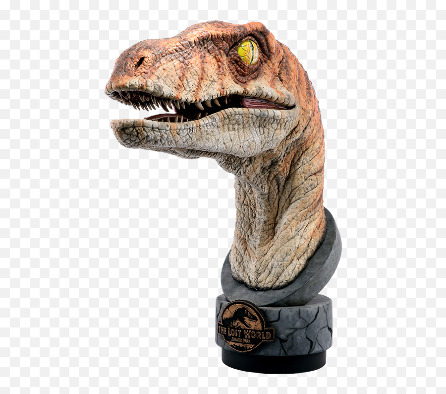 Male Raptor Life - Size Bust Jurassic Park Ancient Animals Jurassic Park The Lost World Velociraptor Png,Velociraptor Png