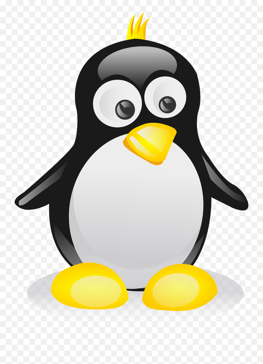 Linux Penguin Png 6 Image - Pinguin Clipart,Penguin Png